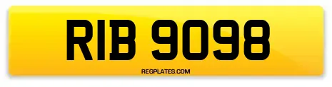 RIB 9098