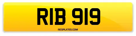 RIB 919