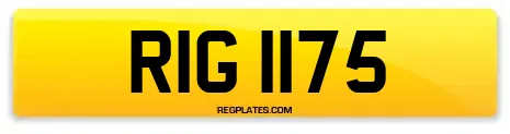 RIG 1175