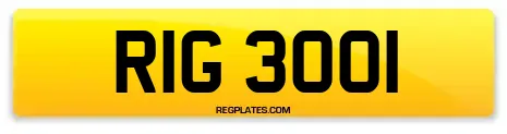 RIG 3001