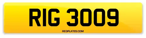 RIG 3009