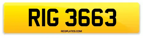 RIG 3663