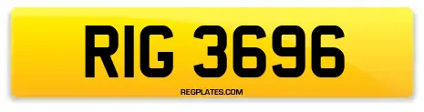 RIG 3696