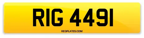 RIG 4491