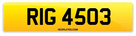 RIG 4503