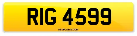 RIG 4599