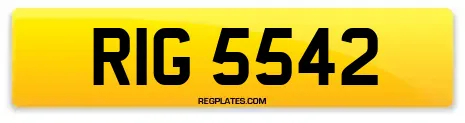 RIG 5542