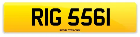 RIG 5561