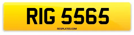 RIG 5565