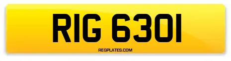 RIG 6301