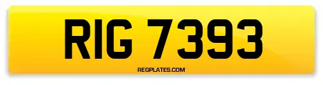RIG 7393