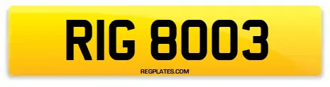 RIG 8003
