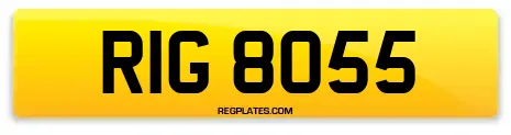 RIG 8055