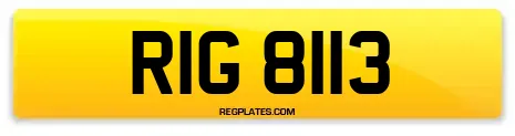 RIG 8113