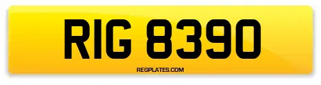 RIG 8390