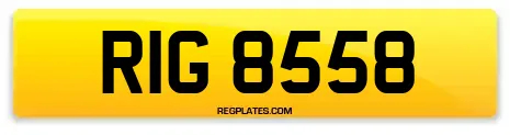RIG 8558
