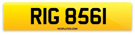 RIG 8561