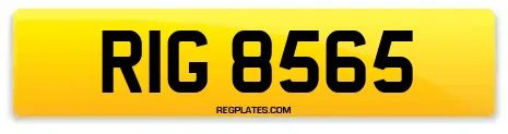 RIG 8565