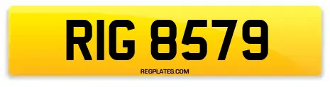 RIG 8579