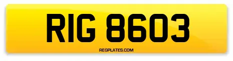 RIG 8603