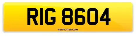 RIG 8604