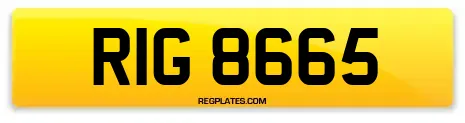 RIG 8665