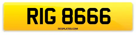 RIG 8666