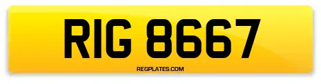 RIG 8667