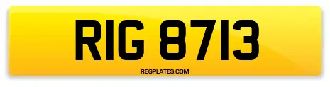 RIG 8713