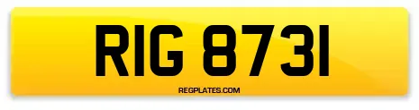 RIG 8731