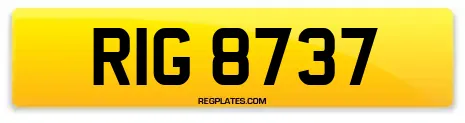 RIG 8737