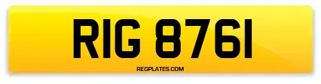 RIG 8761