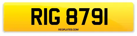 RIG 8791