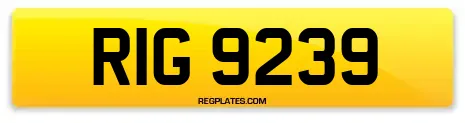 RIG 9239