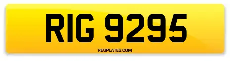 RIG 9295