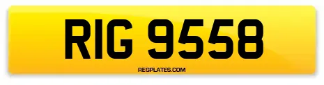 RIG 9558