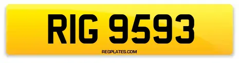 RIG 9593