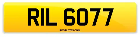 RIL 6077