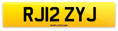 RJ12 ZYJ