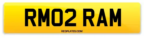 RM02 RAM