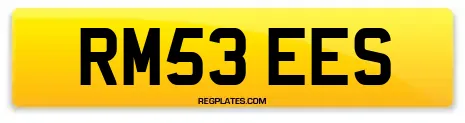 RM53 EES