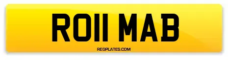 RO11 MAB