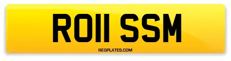 RO11 SSM