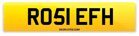 RO51 EFH