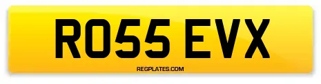 RO55 EVX