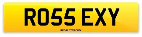 RO55 EXY