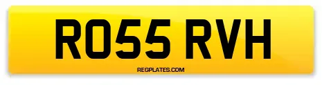 RO55 RVH