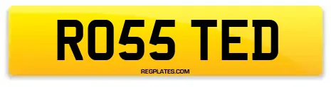 RO55 TED