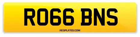 RO66 BNS