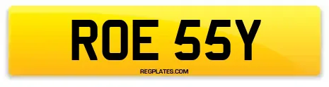 ROE 55Y